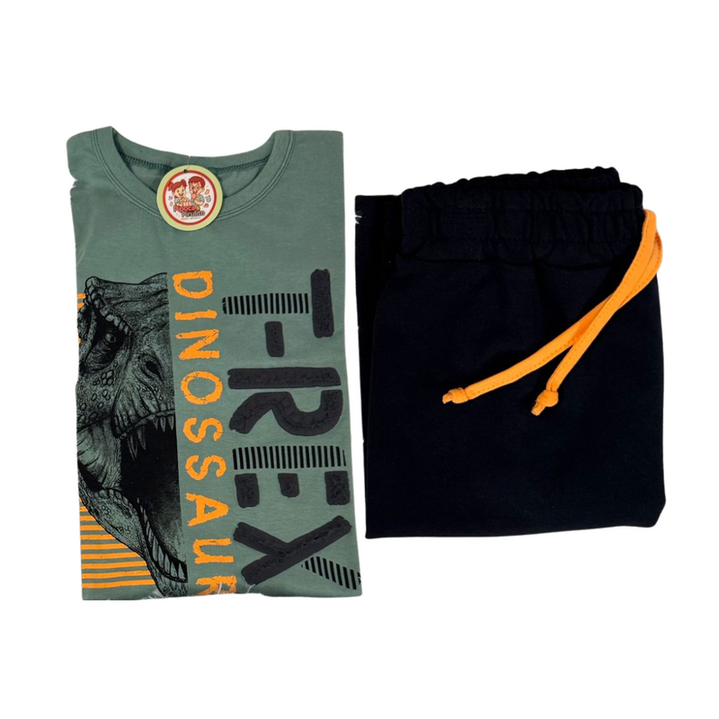 CONJUNTO BERMUDA E CAMISETA